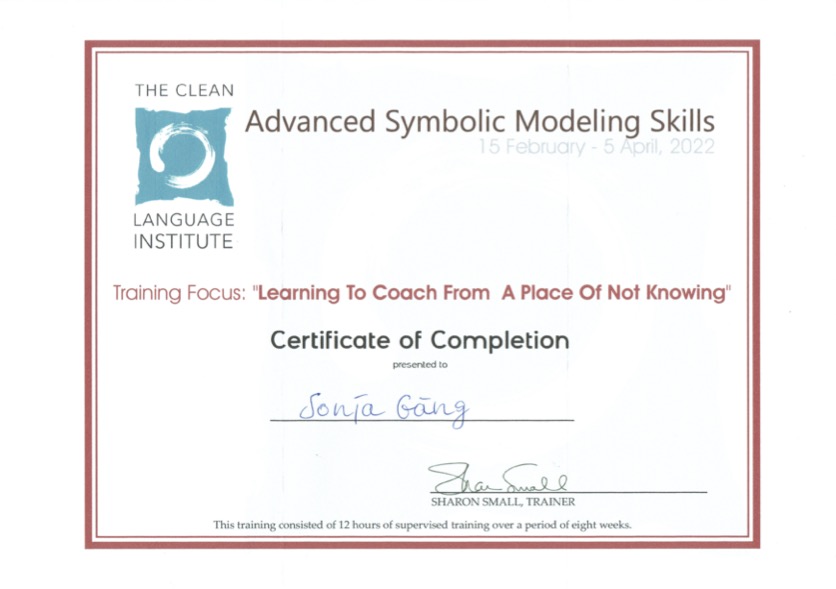 Clean Language Advanced Symbolic Modeling Skills 